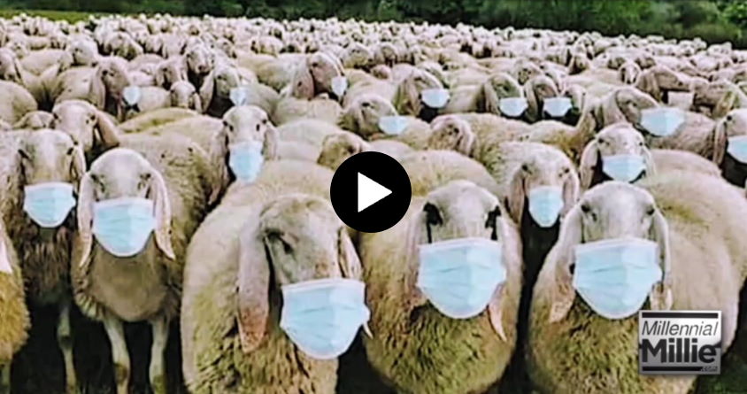 Dear Sheeple