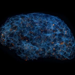 Brain Synapse image